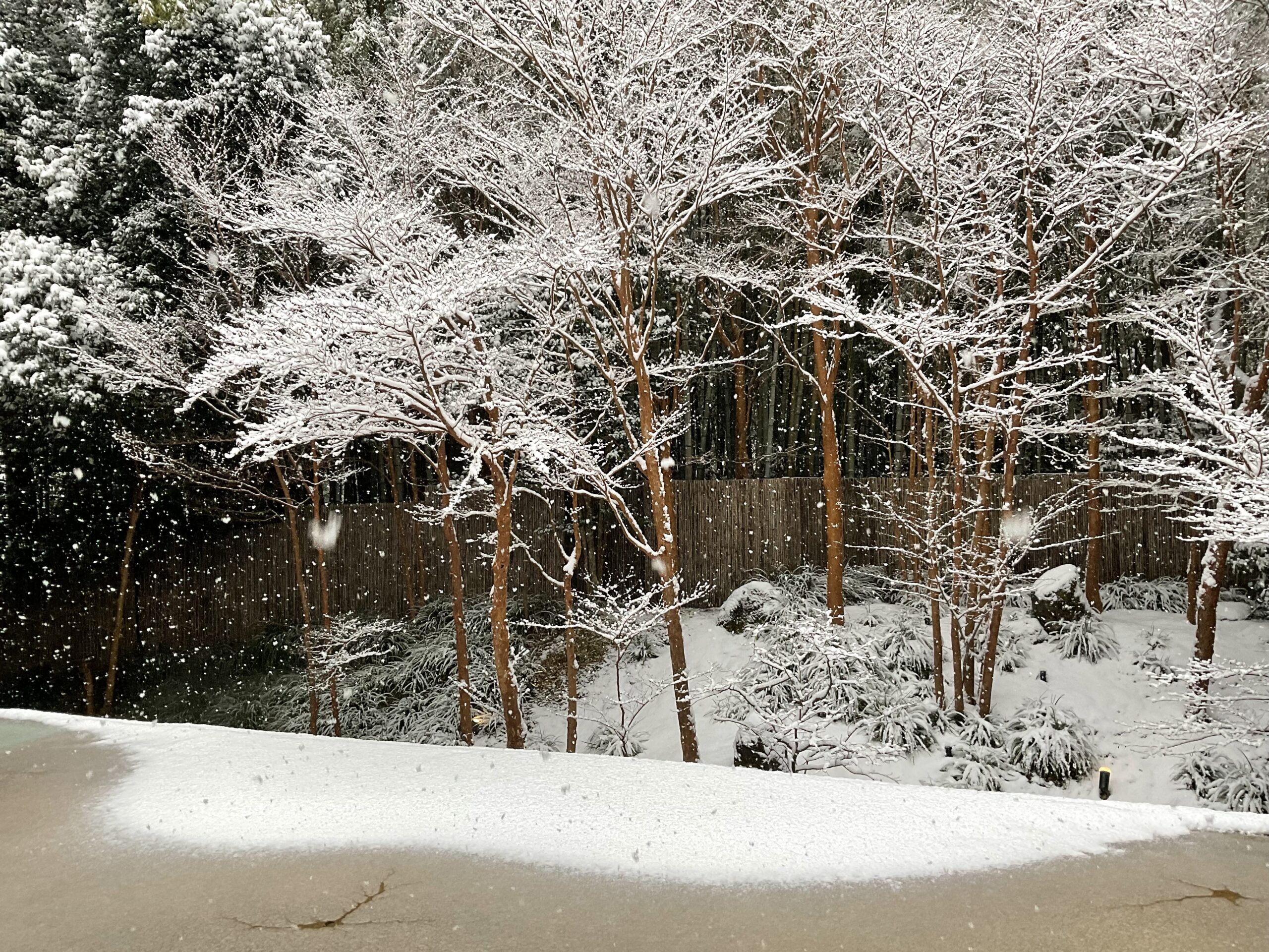 おめでとうございます