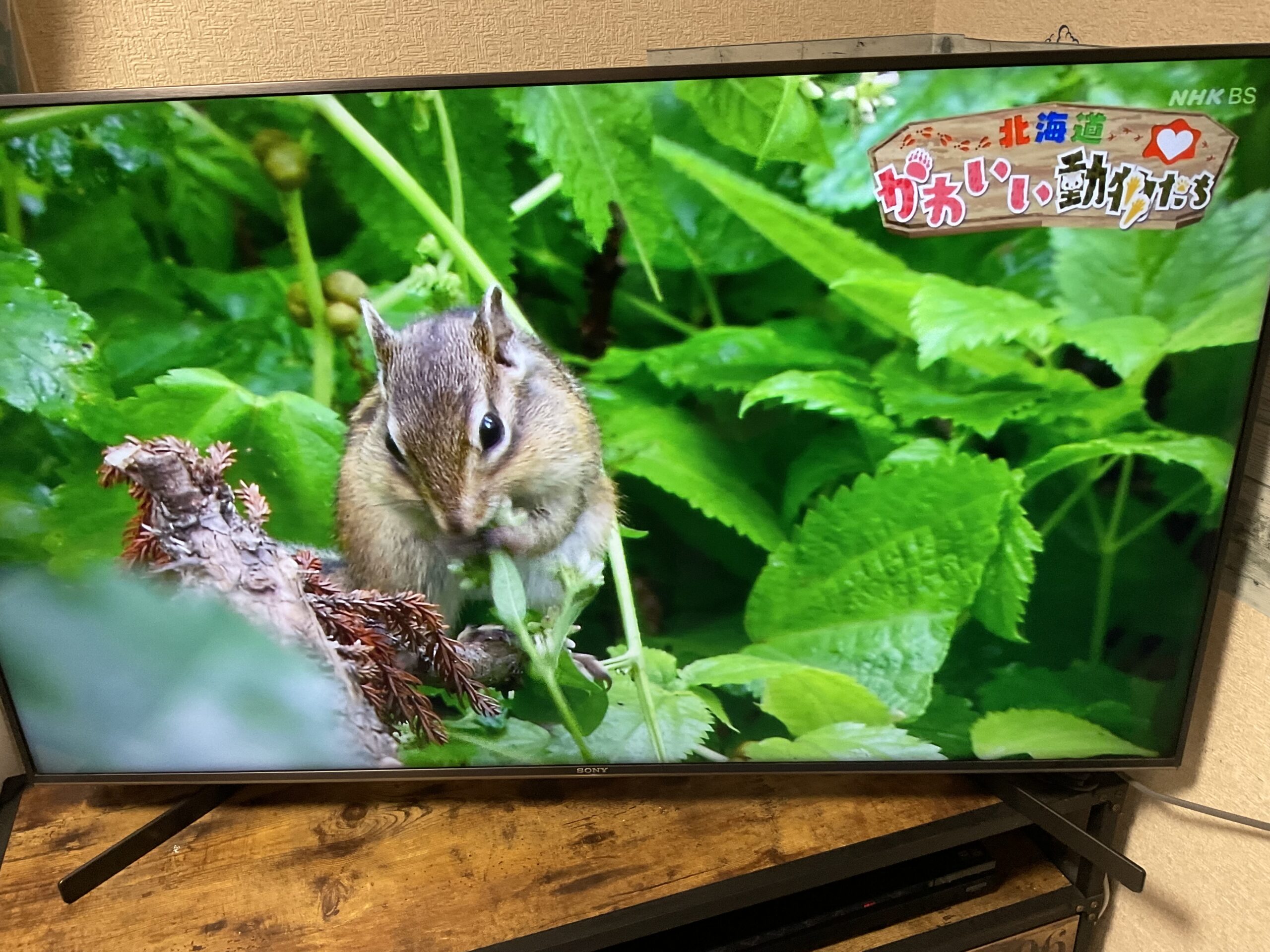 ギックリ腰