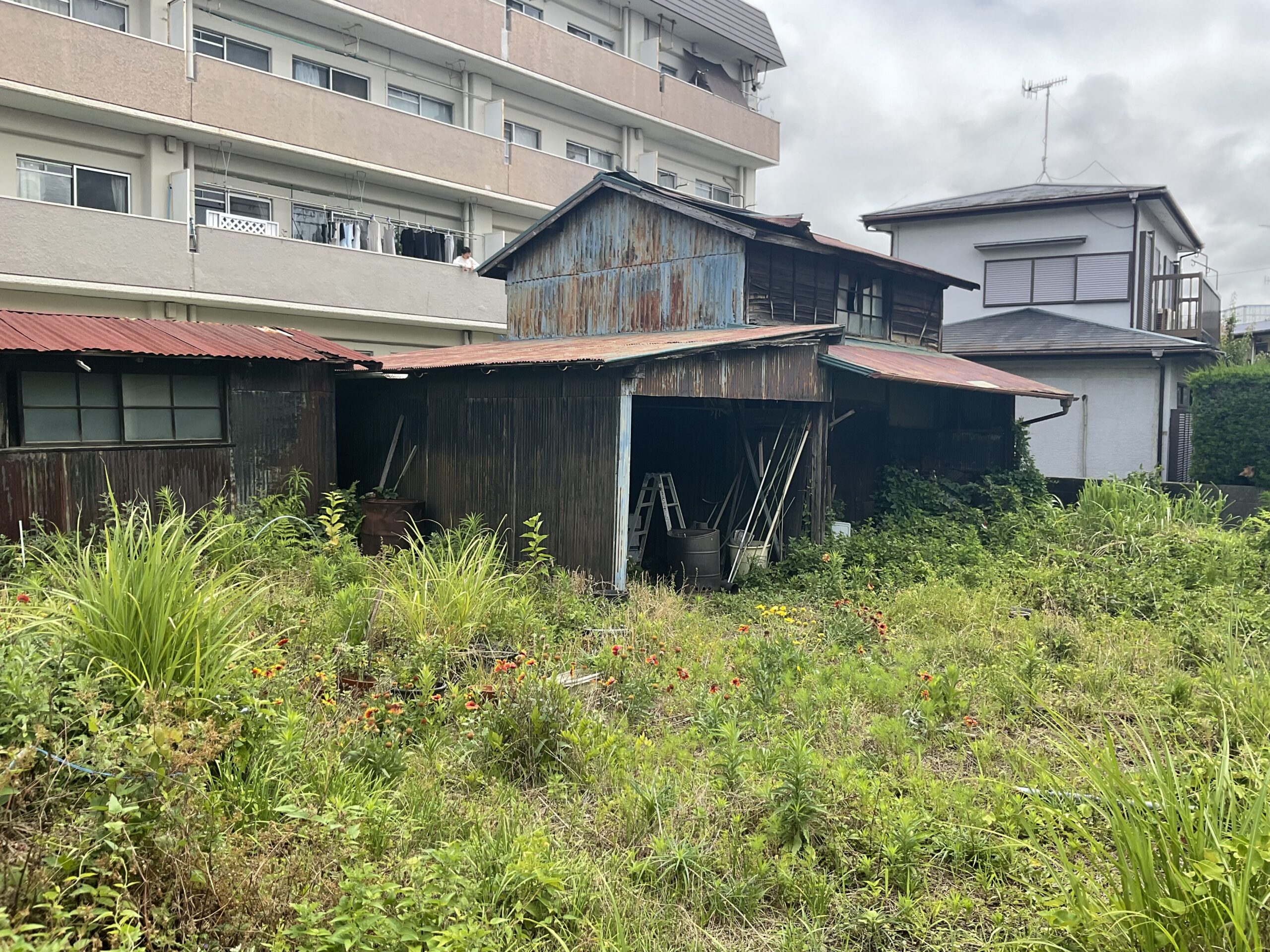 こんな工事もやってます(解体、雑草)